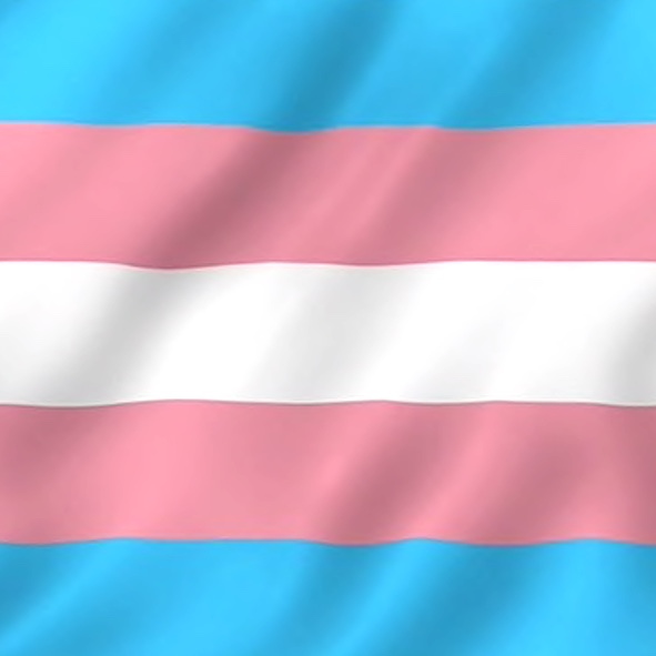 Ir a Trans